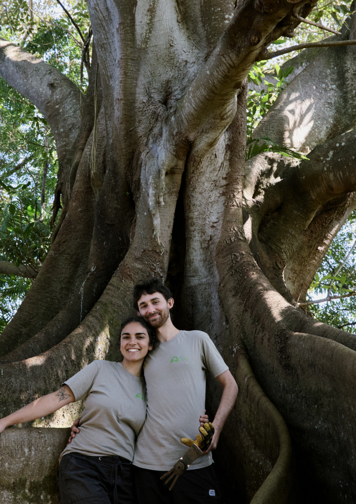 Endangered species: the younger volunteer